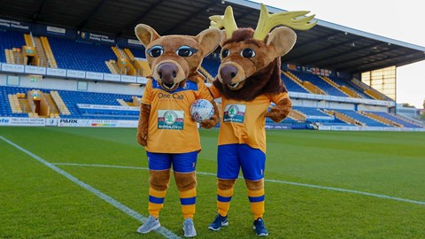 Mascots available for hire!